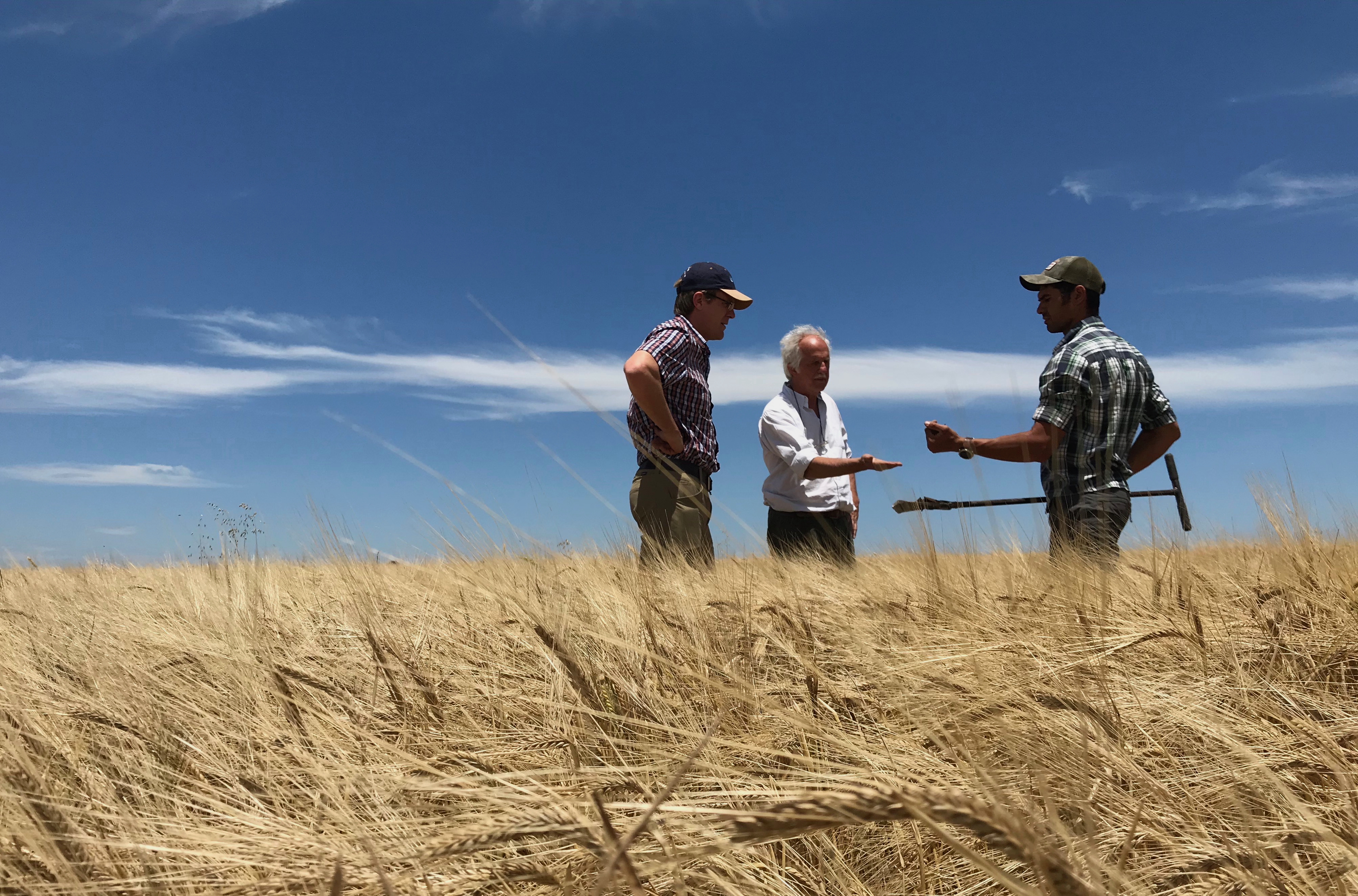 Regenerative transition strategies in Latin America